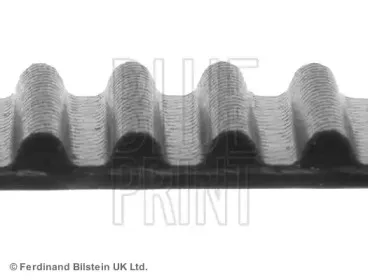 Ремень ГРМ BLUE PRINT купить