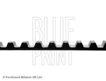 Ремень ГРМ BLUE PRINT купить
