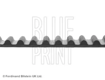 Ремень ГРМ BLUE PRINT купить