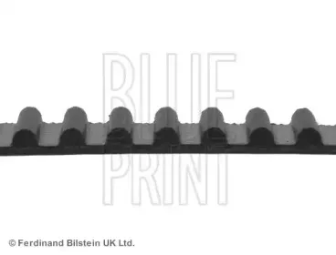 Ремень ГРМ BLUE PRINT купить