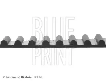 Ремень ГРМ BLUE PRINT купить