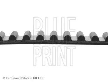 Ремень ГРМ BLUE PRINT купить