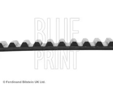 Ремень ГРМ BLUE PRINT купить