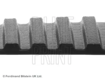 Ремень ГРМ BLUE PRINT купить