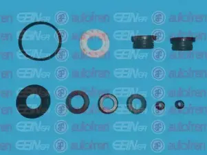 Ремкомплект, главный тормозной цилиндр AUTOFREN SEINSA купить