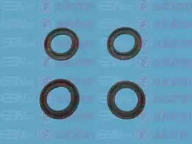 Ремкомплект, главный тормозной цилиндр AUTOFREN SEINSA купить