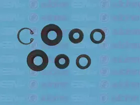 Ремкомплект, главный тормозной цилиндр AUTOFREN SEINSA купить