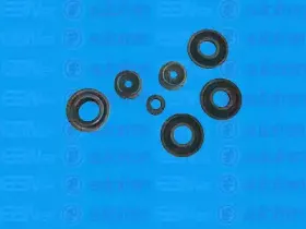 Ремкомплект, главный тормозной цилиндр AUTOFREN SEINSA купить