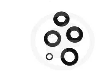 Ремкомплект, главный тормозной цилиндр AUTOFREN SEINSA купить