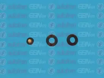 Ремкомплект, главный цилиндр AUTOFREN SEINSA купить