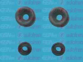 Ремкомплект, главный тормозной цилиндр AUTOFREN SEINSA купить