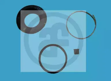 Ремкомплект, тормозной суппорт AUTOFREN SEINSA купить