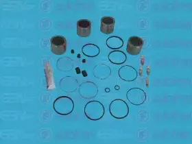 Ремкомплект, тормозной суппорт AUTOFREN SEINSA купить