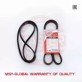 Поликлиновой ремень MASTER-SPORT купить