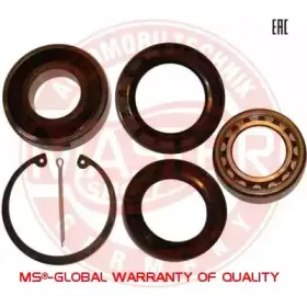 Комплект подшипника ступицы колеса MASTER-SPORT купить