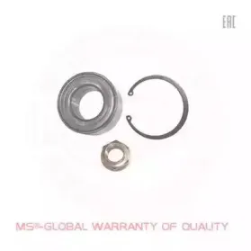 Комплект подшипника ступицы колеса MASTER-SPORT купить