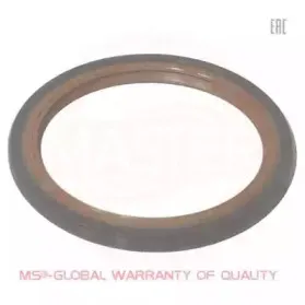 Уплотняющее кольцо, коленчатый вал MASTER-SPORT купить