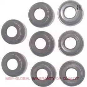 Уплотняющее кольцо, распределительный вал MASTER-SPORT купить