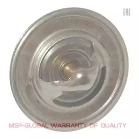 Термостат, охлаждающая жидкость MASTER-SPORT купить