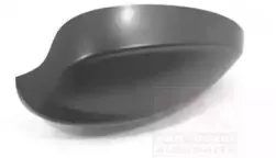 Покрытие, внешнее зеркало VAN WEZEL купить