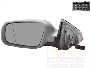 Наружное зеркало VAN WEZEL купить