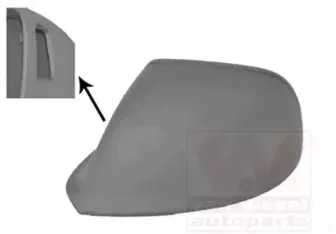 Покрытие, внешнее зеркало VAN WEZEL купить