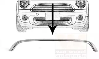 Облицовка / защитная накладка, облицовка радиатора VAN WEZEL купить