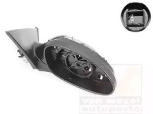 Наружное зеркало VAN WEZEL купить