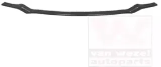 Носитель, буфер VAN WEZEL купить