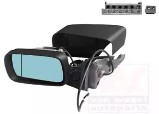 Наружное зеркало VAN WEZEL купить