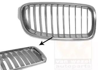 Решетка радиатора VAN WEZEL купить