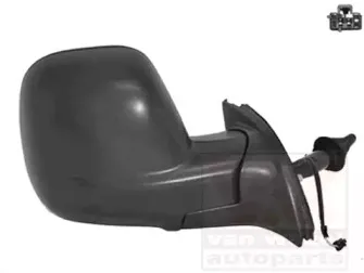 Наружное зеркало VAN WEZEL купить