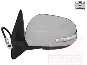 Наружное зеркало VAN WEZEL купить