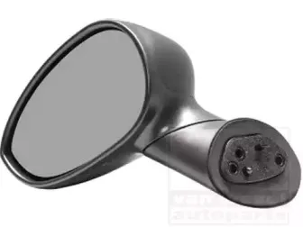 Наружное зеркало VAN WEZEL купить