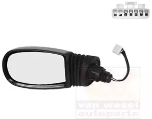 Наружное зеркало VAN WEZEL купить