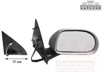 Наружное зеркало VAN WEZEL купить
