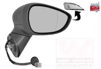 Наружное зеркало VAN WEZEL купить