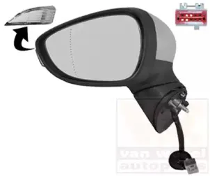 Наружное зеркало VAN WEZEL купить