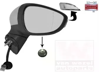 Наружное зеркало VAN WEZEL купить