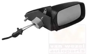 Наружное зеркало VAN WEZEL купить