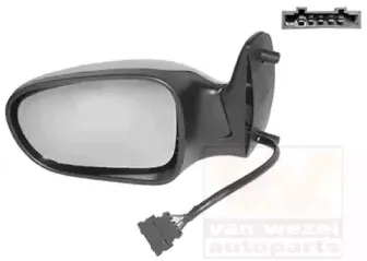 Наружное зеркало VAN WEZEL купить