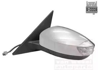 Наружное зеркало VAN WEZEL купить