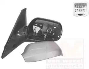 Наружное зеркало VAN WEZEL купить