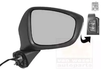 Наружное зеркало VAN WEZEL купить