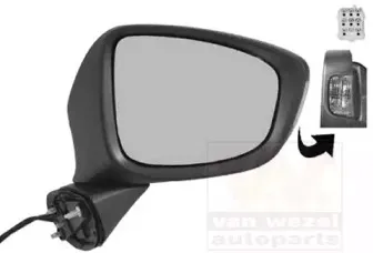 Наружное зеркало VAN WEZEL купить