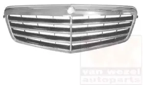 Решетка радиатора VAN WEZEL купить