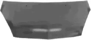 Капот двигателя VAN WEZEL купить