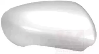 Покрытие, внешнее зеркало VAN WEZEL купить