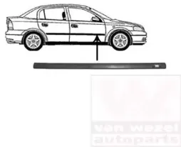 Облицовка / защитная накладка, дверь VAN WEZEL купить