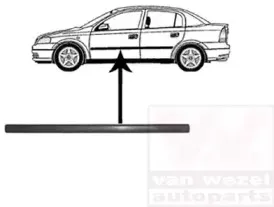 Облицовка / защитная накладка, дверь VAN WEZEL купить